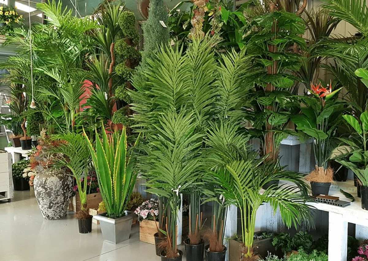 Artificial Plants